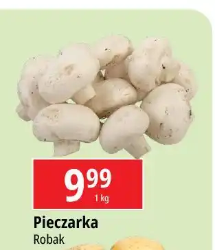 E.Leclerc Pieczarki oferta