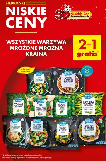 Biedronka Warzywa mrożone Mroźna Kraina oferta