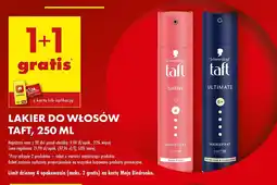 Biedronka Lakier do włosów Taft Ultimate oferta