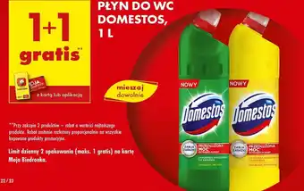 Biedronka Płyn do WC Domestos oferta