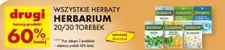 Biedronka Herbata aktywne trawienie Herbarium oferta