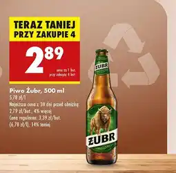 Biedronka Piwo Żubr 1768 oferta