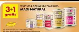 Biedronka Karma dla kota indyk z przepiórką Maxi Natural oferta