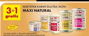 Biedronka Karma dla kota indyk z przepiórką Maxi Natural oferta