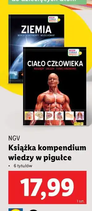 Lidl Ziemia oferta