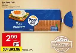 Delikatesy Centrum Tost Plony Zbóź oferta