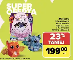 Carrefour Maskotka hatchimals alive! Spin Master oferta