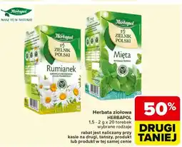 Carrefour Herbatka mięta Herbapol Zielnik Polski oferta