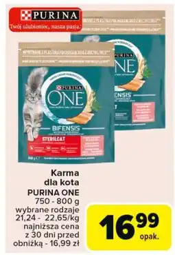 Carrefour Karma dla kota sterilcat Purina One oferta