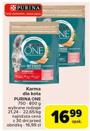 Carrefour Karma dla kota sterilcat Purina One oferta