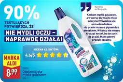 ALDI TANDIL Odplamiające mydło galasowe oferta