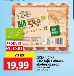 Lidl Złota nioska bio jaja z chowu ekologicznego oferta