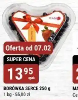 bi1 BORÓWKA SERCE oferta