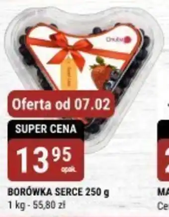 bi1 BORÓWKA SERCE oferta