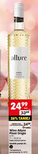 Delikatesy Centrum Wino półwytrawne Pinot Grigio oferta