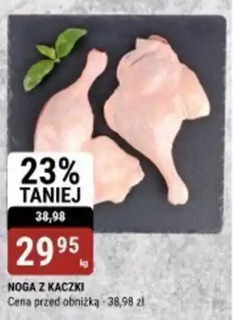 bi1 NOGA Z KACZKI oferta