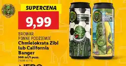 Lidl BROWAR PIWNE PODZIEMIE Chmielokrata Zibi oferta