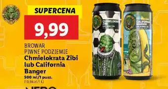 Lidl BROWAR PIWNE PODZIEMIE Chmielokrata Zibi oferta