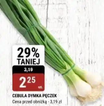 bi1 CEBULA DYMKA PĘCZEK oferta