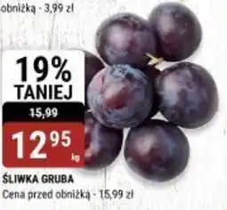 bi1 ŚLIWKA GRUBA oferta