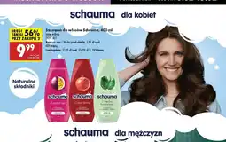 Biedronka Szampon do włosów Schauma Color Shine oferta