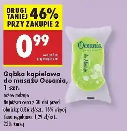 Biedronka Gąbka do masażu Oceania oferta