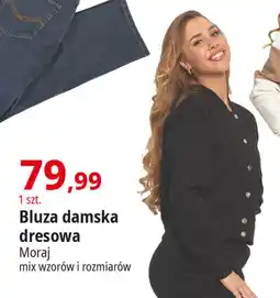 E.Leclerc Bluza damska Moraj oferta