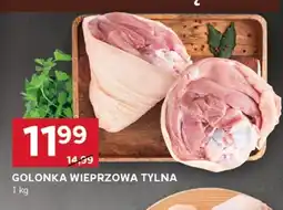 Stokrotka Optima Golonka wieprzowa tylna oferta