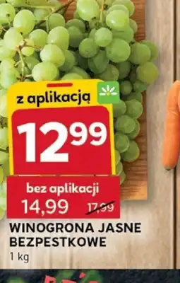 Stokrotka Optima Winogrona jasne bezpestkowe oferta