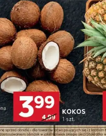 Stokrotka Optima Kokos oferta