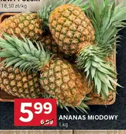 Stokrotka Optima Ananas miodowy oferta