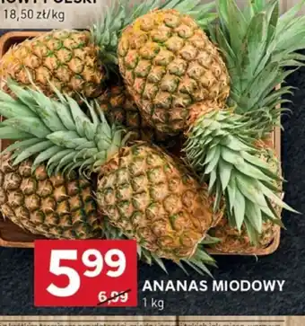 Stokrotka Optima Ananas miodowy oferta