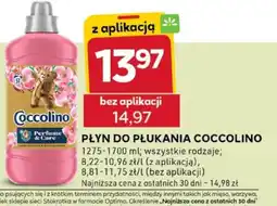 Stokrotka Optima Płyn do płukania Coccolino oferta