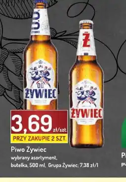 Avita Piwo Zywiec oferta