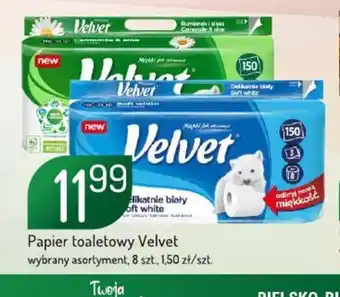 Avita Papier toaletowy Velvet oferta