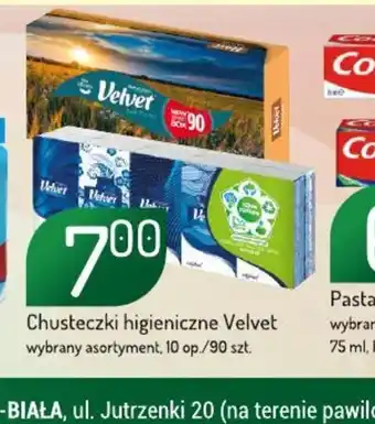 Avita Chusteczki higieniczne Velvet oferta