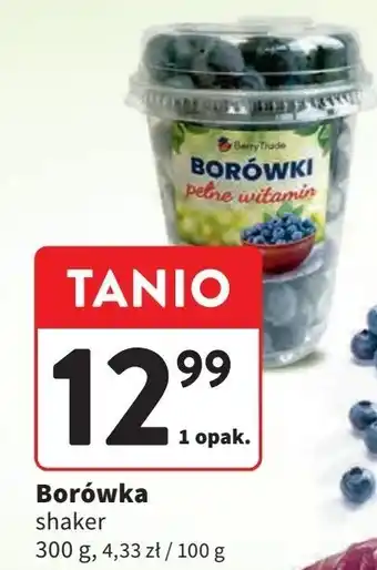 Intermarche Borówki amerykańskie shaker Berrytrade oferta