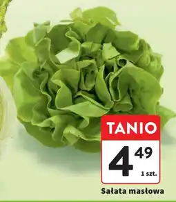 Intermarche Sałata masłowa oferta