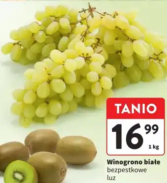 Intermarche Winogrona białe bezpestkowe oferta