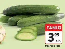 Intermarche Ogórek długi oferta