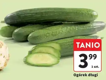 Intermarche Ogórek długi oferta