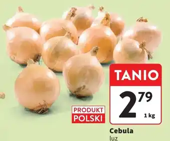 Intermarche Cebula oferta