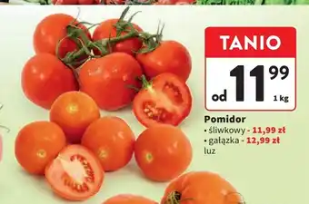 Intermarche Pomidory gałązka oferta