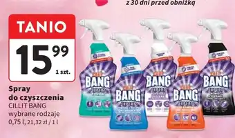 Intermarche Spray koniec z pleśnią Cillit Bang oferta