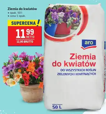 Makro Ziemia do kwiatów Aro oferta