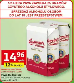 Auchan Piwo Budweiser oferta