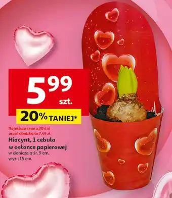 Auchan Hiacynt O oferta