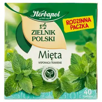 Auchan Herbapol Zielnik Polski Herbatka ziołowa mięta 80 g (40 x 2 g) oferta