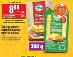 Polomarket Ser w plastrach salami lub gouda Mleczna Polana oferta