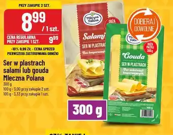 Polomarket Ser w plastrach salami lub gouda Mleczna Polana oferta